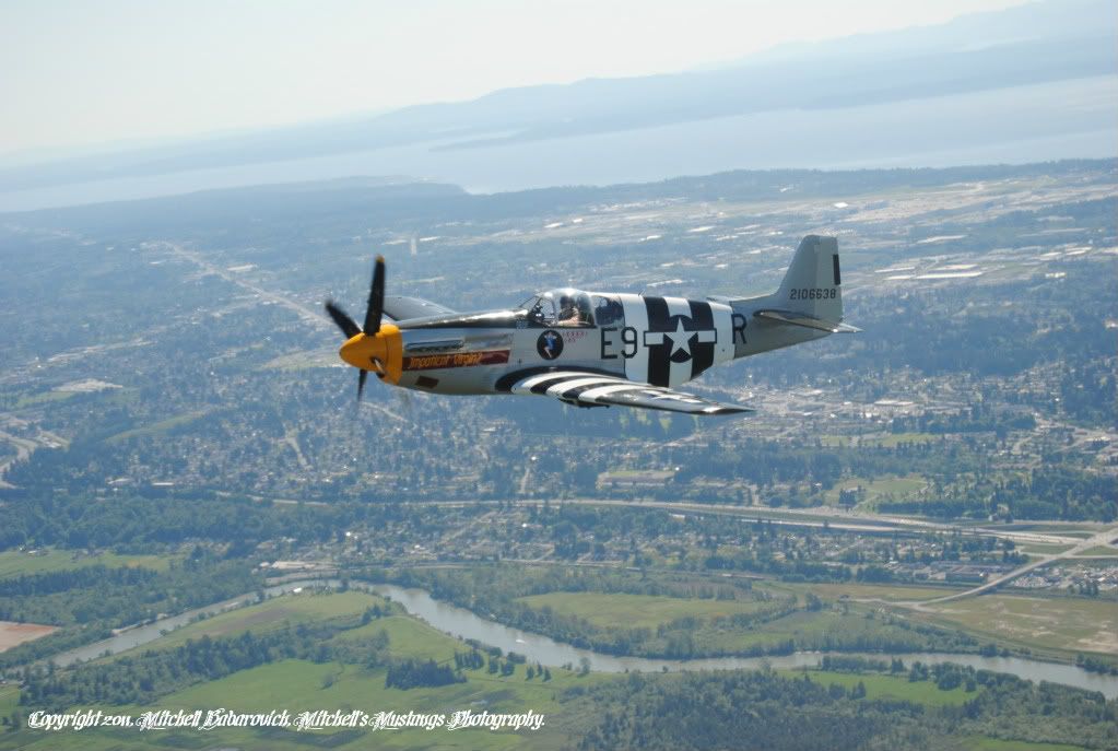 [Image: MustangFlyDayandB-25Flight626.jpg]