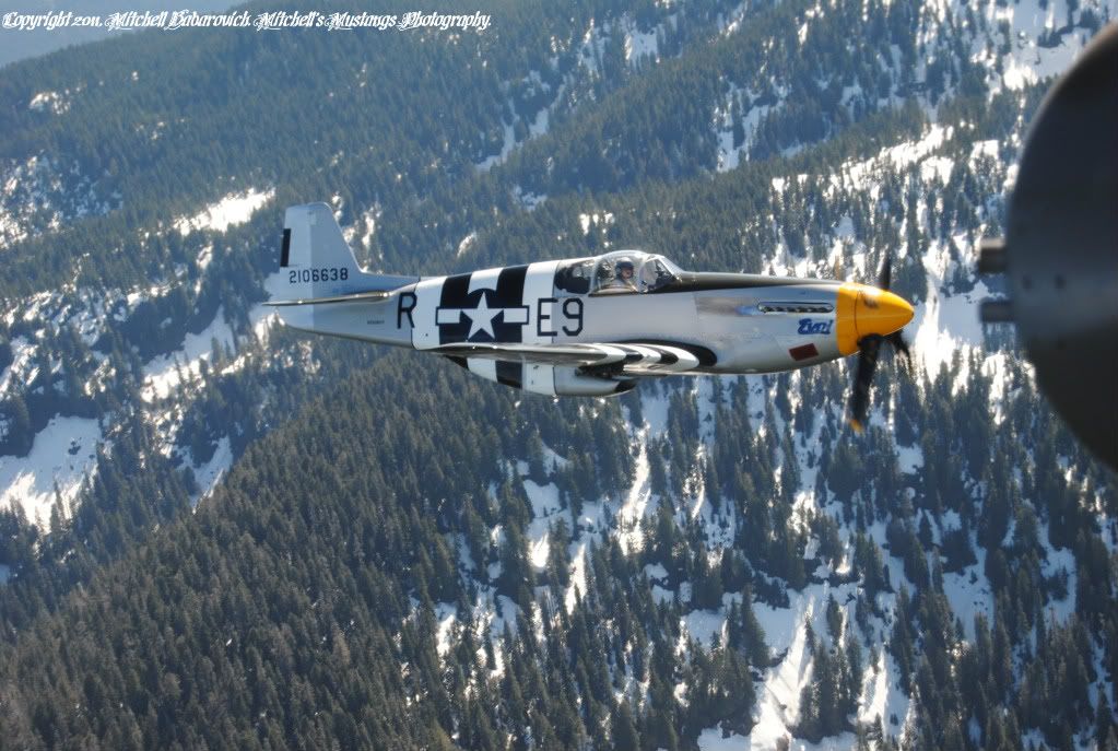 [Image: MustangFlyDayandB-25Flight700.jpg]