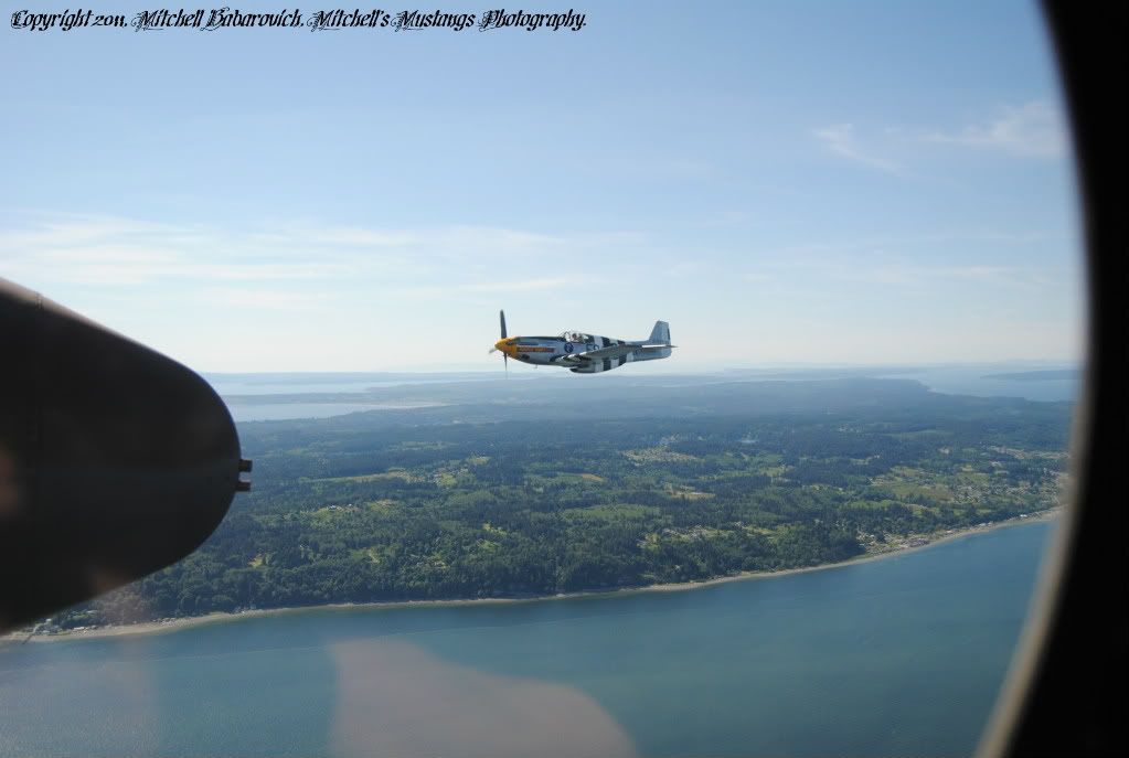 [Image: MustangFlyDayandB-25Flight741.jpg]