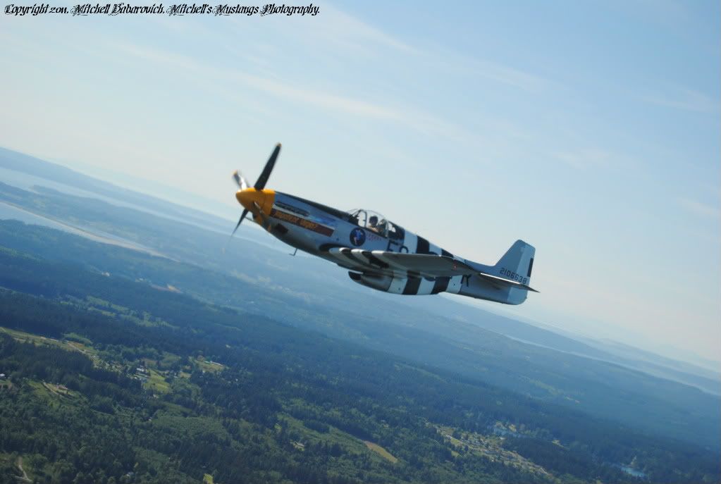 [Image: MustangFlyDayandB-25Flight742.jpg]