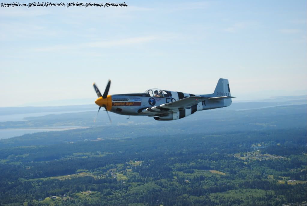 [Image: MustangFlyDayandB-25Flight744.jpg]