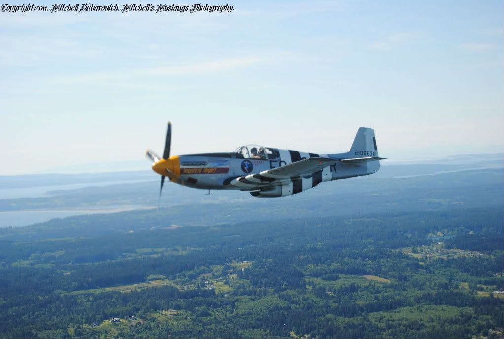 [Image: MustangFlyDayandB-25Flight745.jpg]