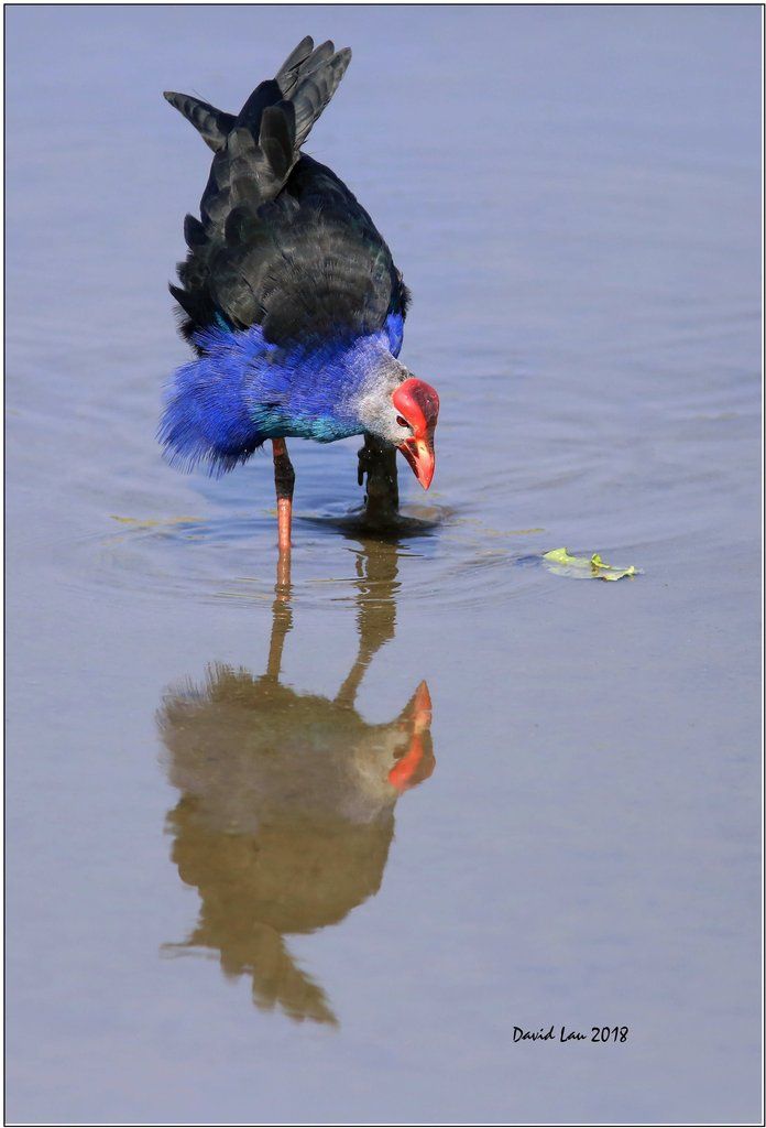  photo 5N4B5080_G.jpg