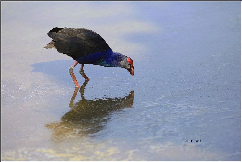  photo 5N4B5533_G.jpg