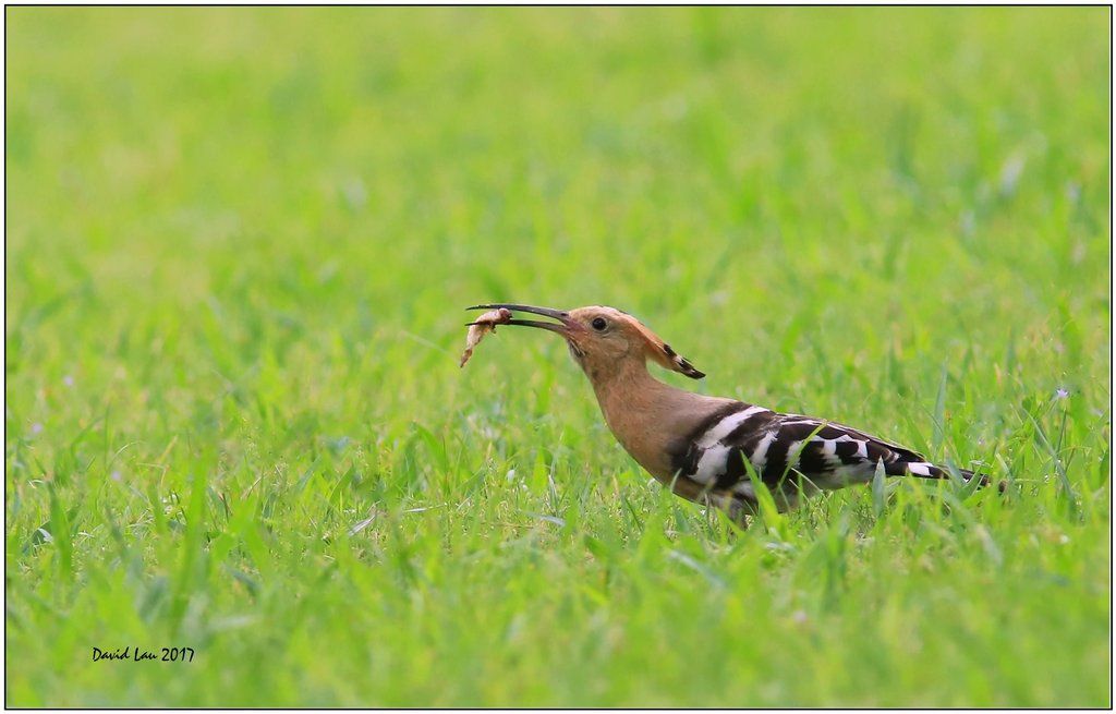  photo 5N4B8020_E.jpg