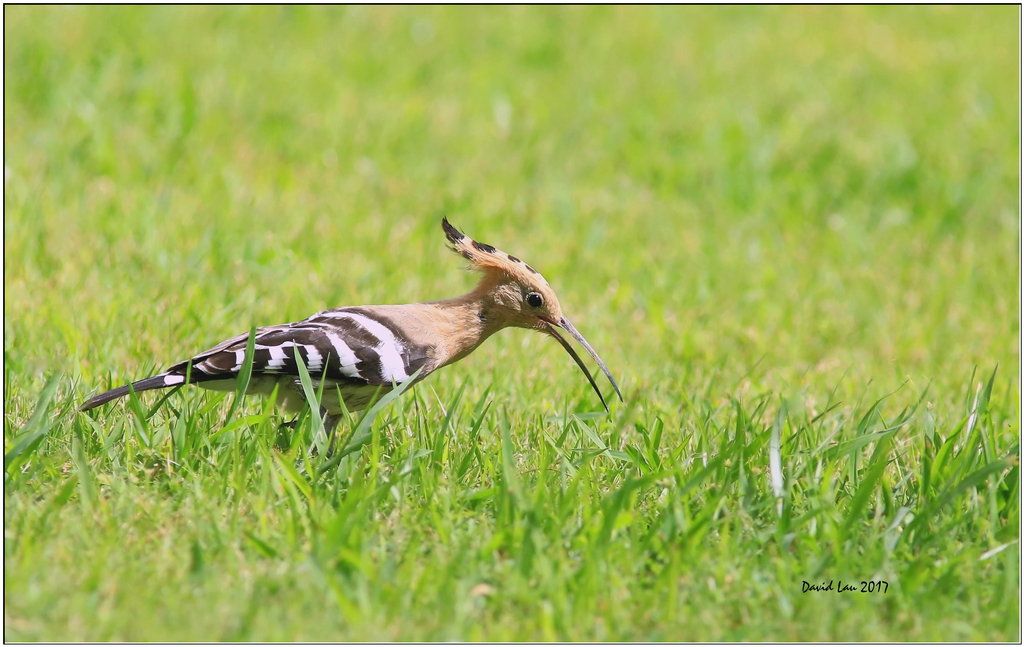  photo 5N4B8103_E_1.jpg