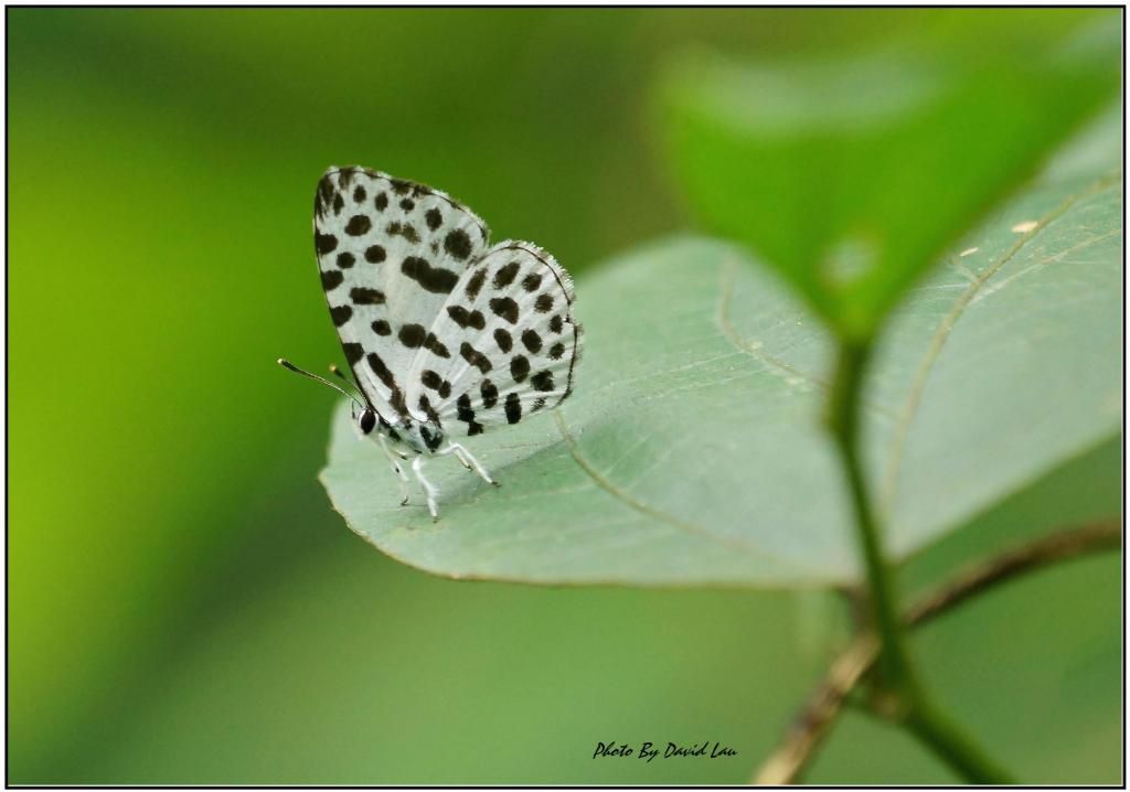  photo DSC01245_A.jpg