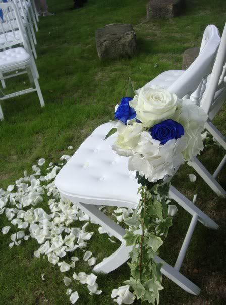 Blue rose Pictures, Images and Photos