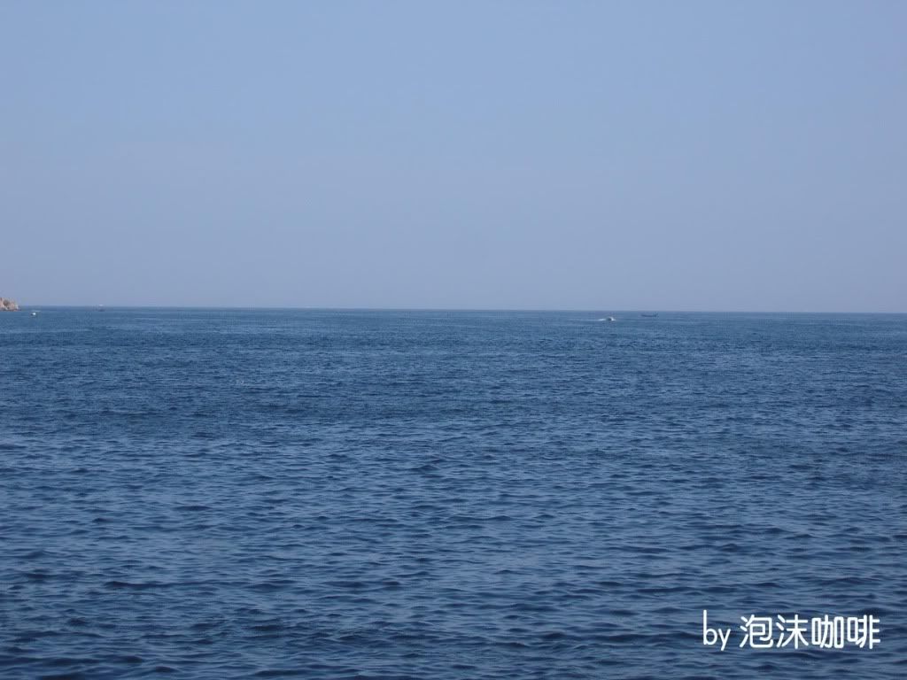 SNV84501_.jpg picture by coffee0929
