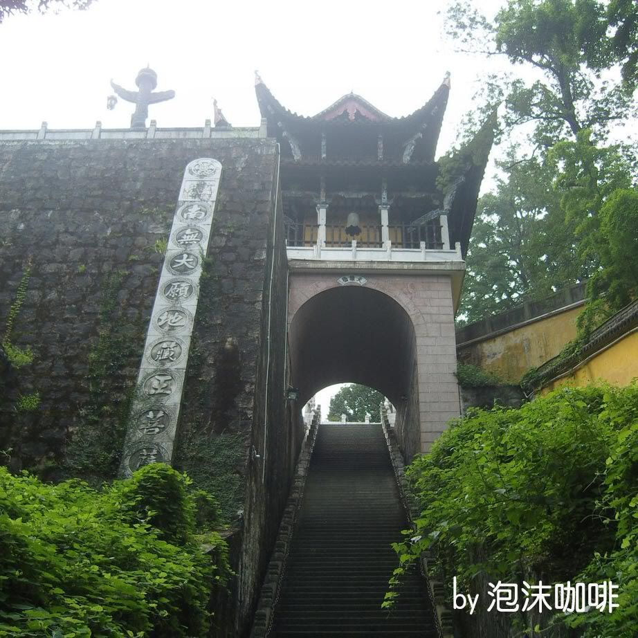 SNV84687.jpg picture by coffee0929