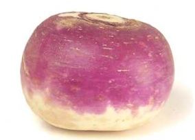 Turnip.jpg