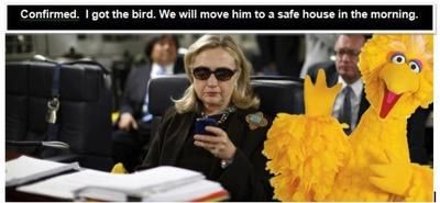Hillary Safe Houses Big Bird