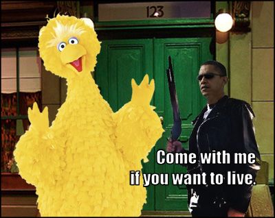 Terminator and Big Bird