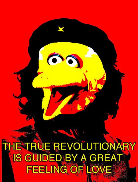 Che advises Big Bird