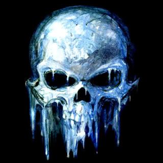 668317-Alchemy-Gothic-Ice-Skull.jpg