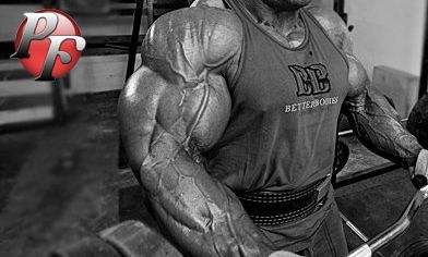 alphagenix muscle pro buy this supplement