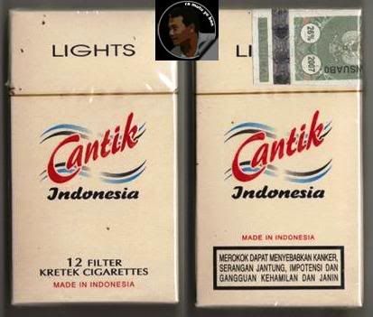 CANTIKINDONESIALIGHTS.jpg CANTIK INDONESIA LIGHTS picture by singgihpermono