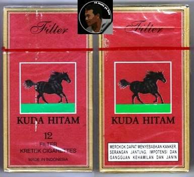 KUDAHITAM.jpg KUDA HITAM picture by singgihpermono