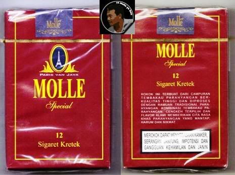 MOLLE.jpg MOLLE picture by singgihpermono