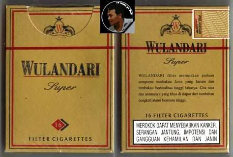 WULANDARISUPER.jpg WULANDARI SUPER picture by singgihpermono