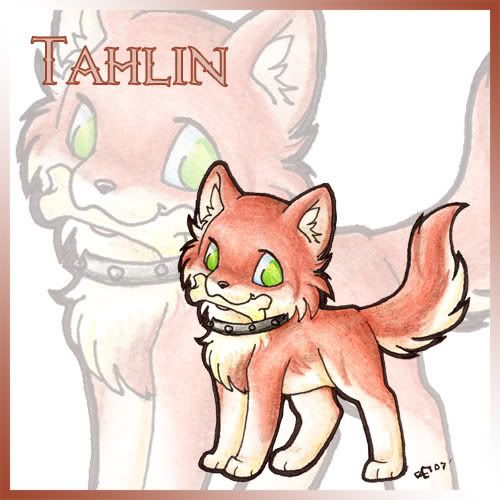 Tahlin_Chibi_Fan_Art_by_Halo_2_fan.jpg image by BloodyxNightmair