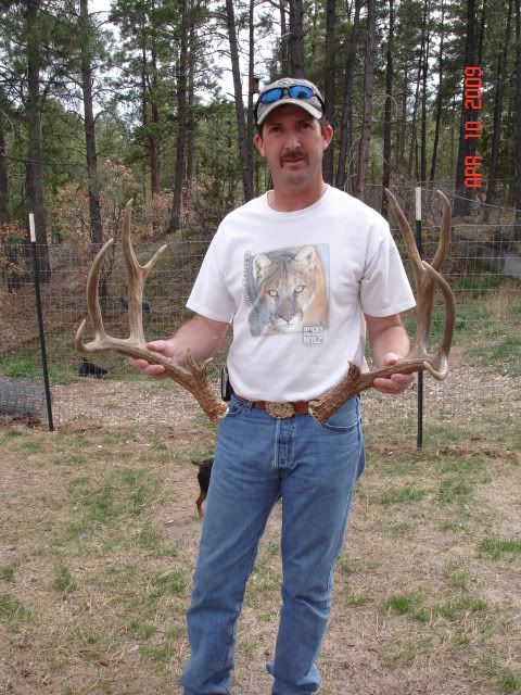 MuleDeerAntlers001.jpg