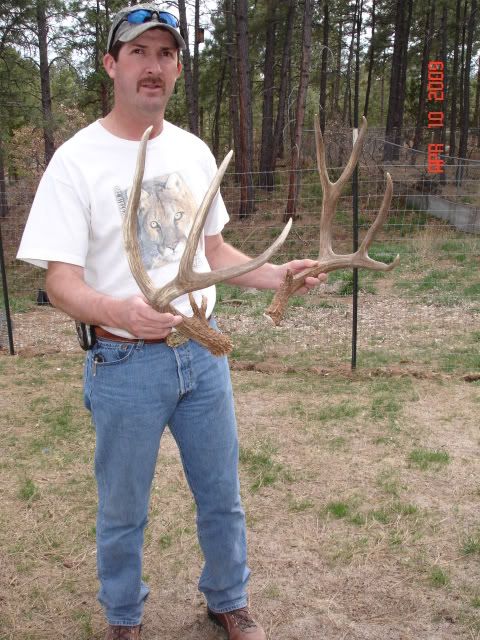 MuleDeerAntlers004.jpg