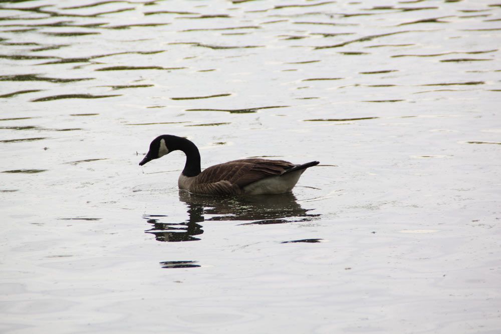 photo IMG_3644_zps2fccd4a9.jpg
