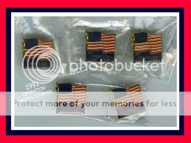 1991 MILITARY CHALLENGE PINS® DESERT STORM™ QTY. 5 ©/™  